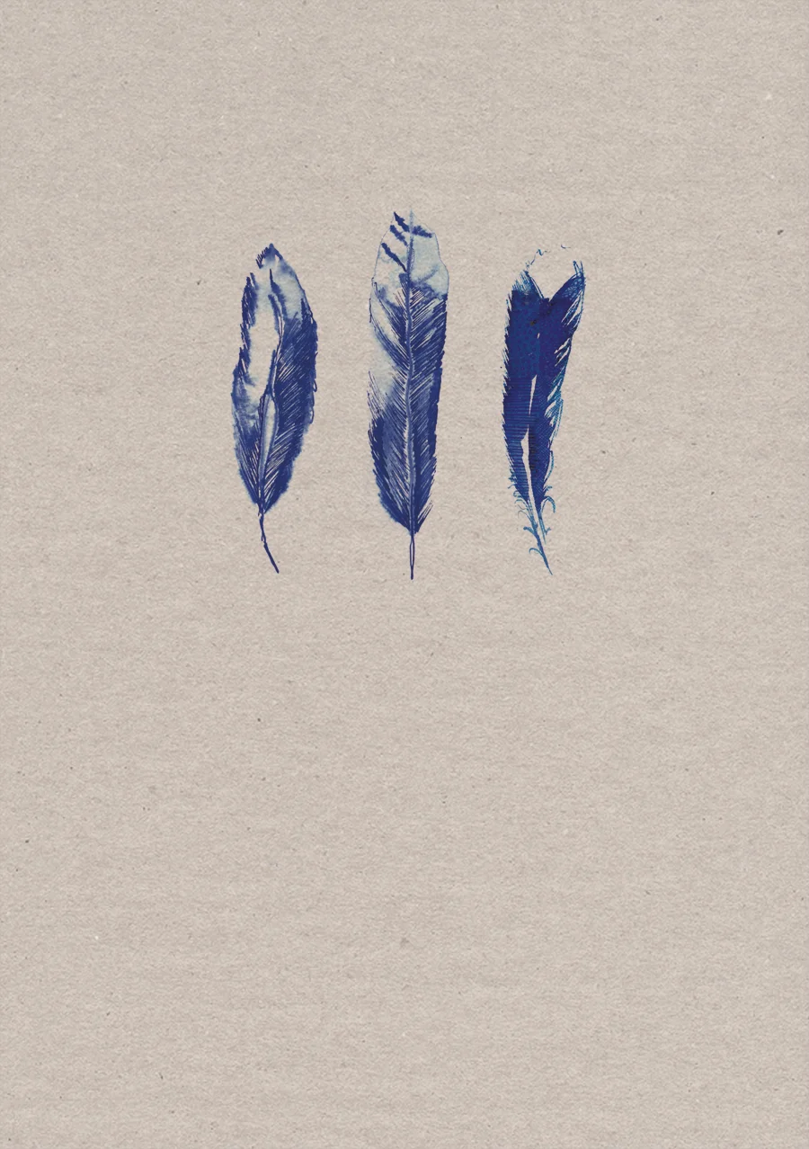 feathers notebook.jpg