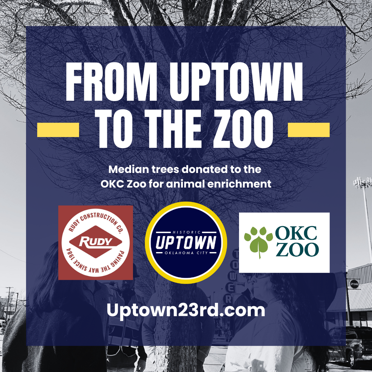 Uptown 23rd Partners with OKC Zoo and Rudy Construction Co. to Give Trees New Life as NW 23rd Streetscape Project Begins