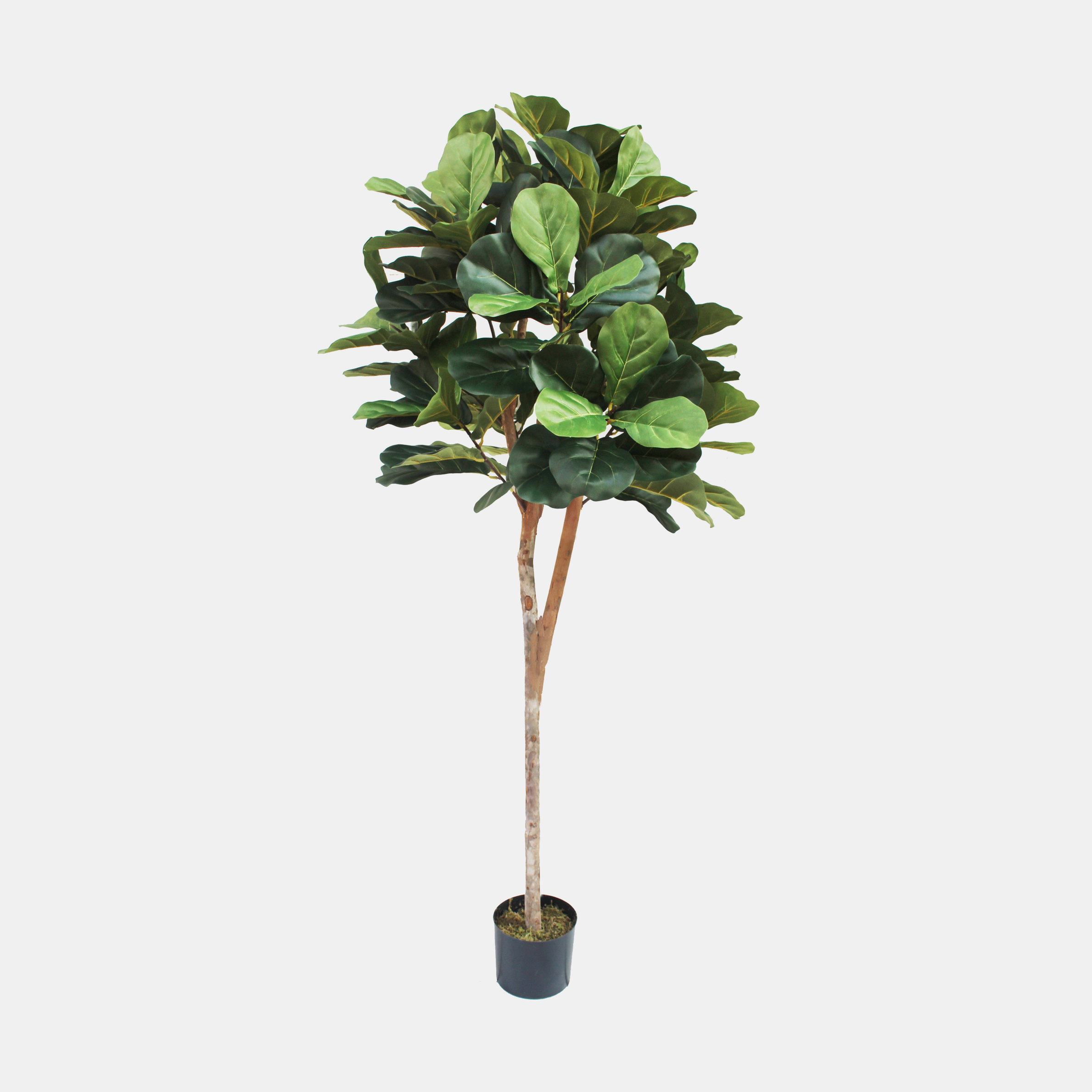 Faux Fiddle Leaf Fig Tree 6’ tall SKU8240SAF