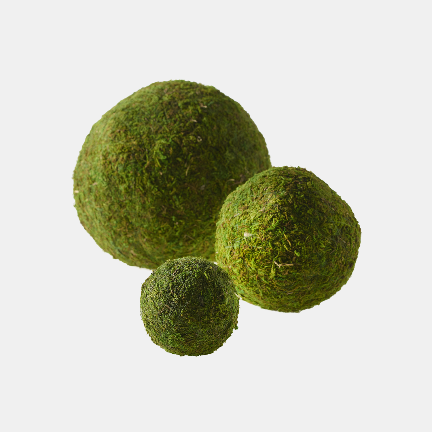 Moss Spheres Available in 4”, 6”, 8”, 10”, and 15”. SKU105948ACD