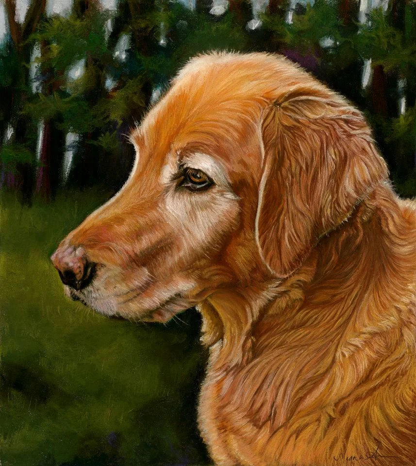 Golden retriever_low res.jpg