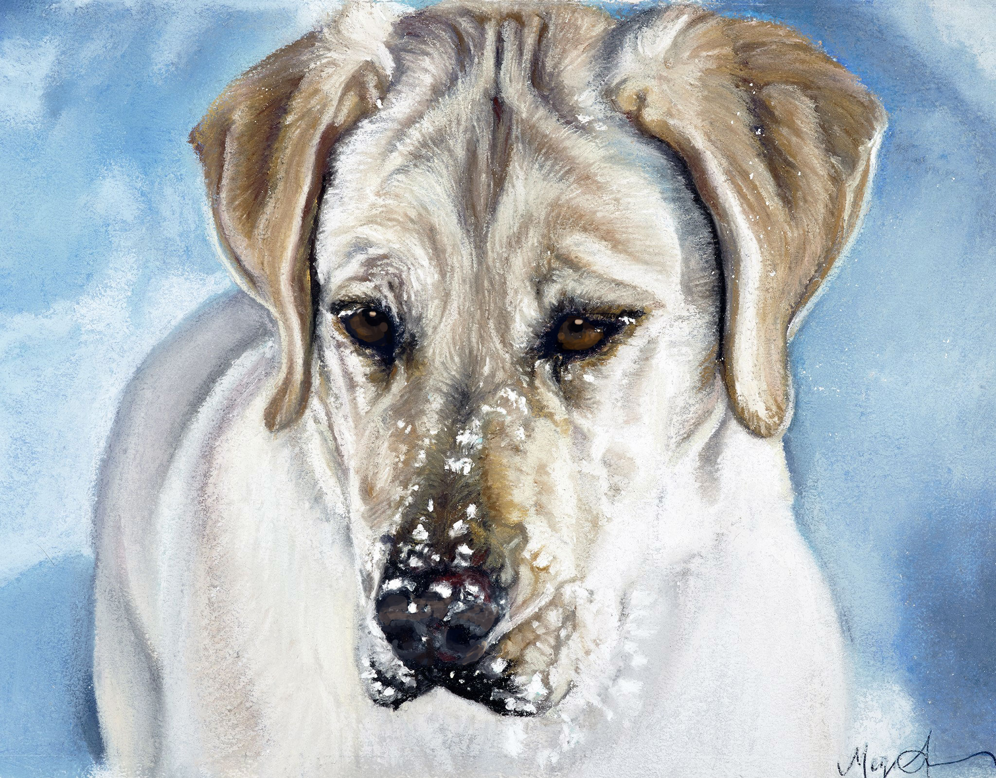 Snow-Day-Final_for-web.jpg