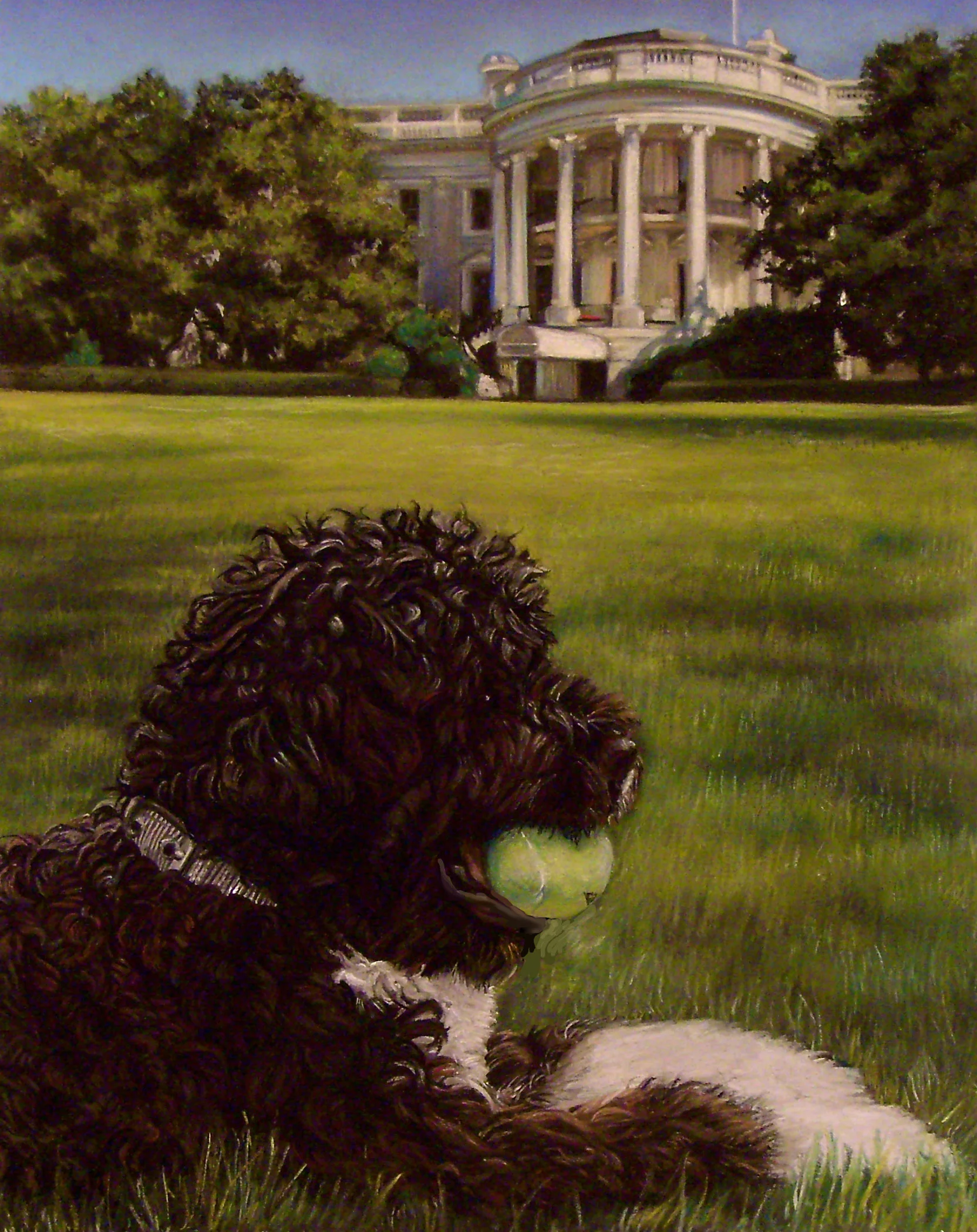 Bo-Obama_for-web-.jpg