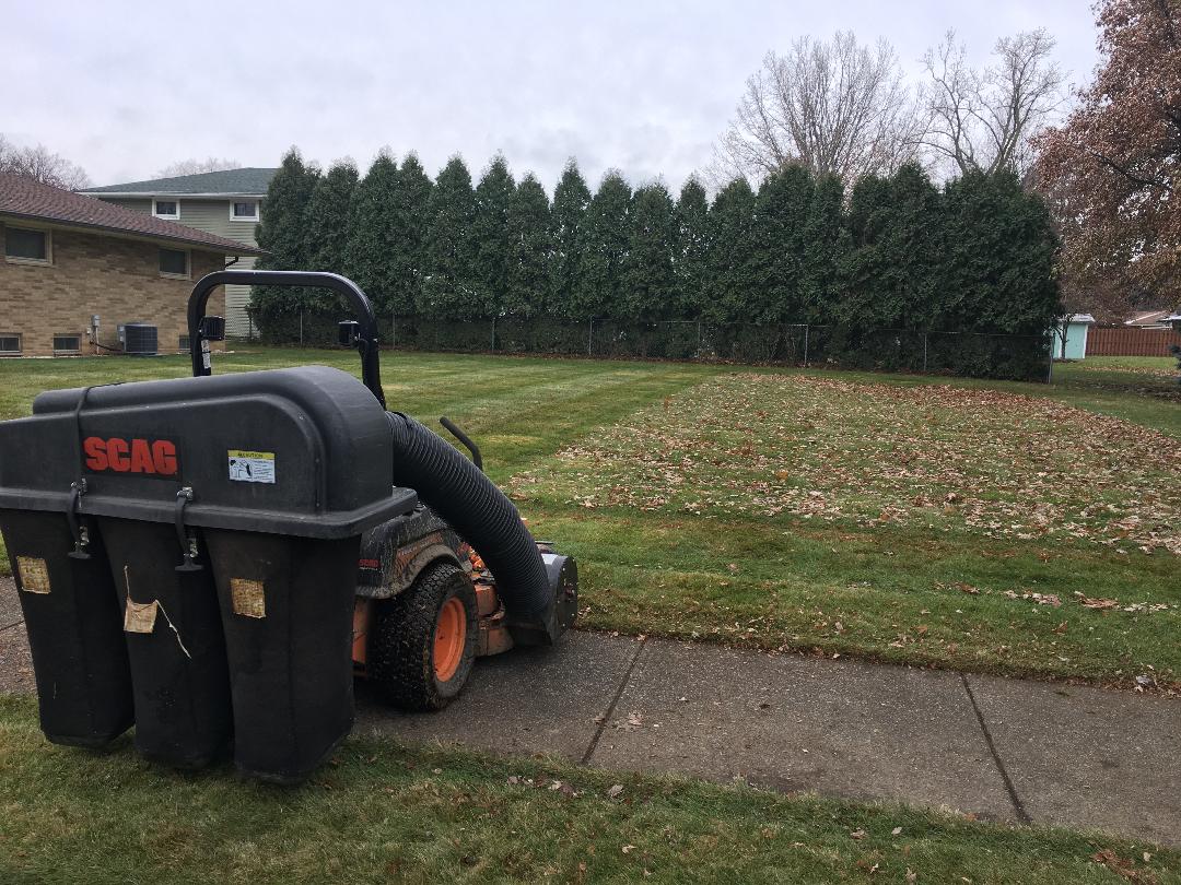 Leaf Clean Up.jpg