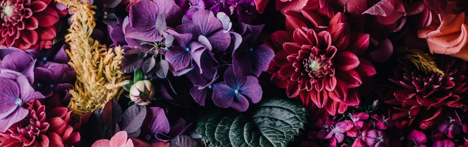 Coaching-floral.jpg