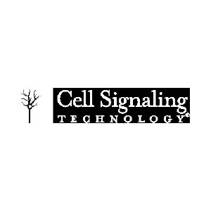 Cell Signal Technology