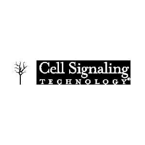 Cell Signal Technology.jpg