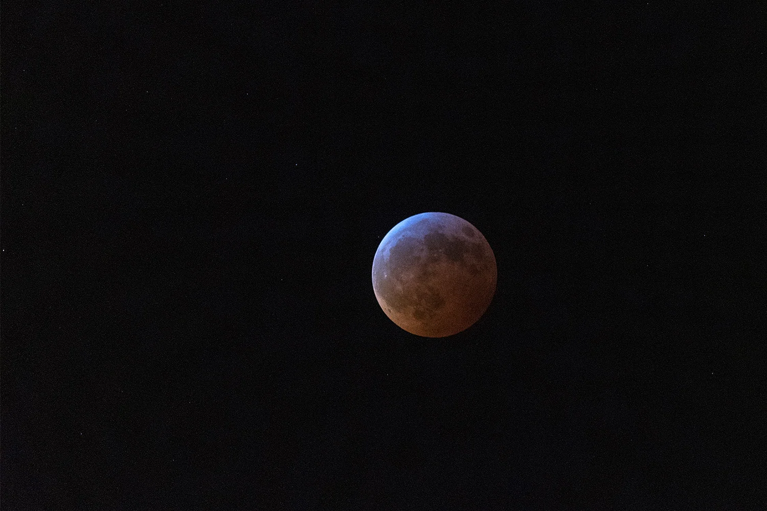Wolf Blood Moon