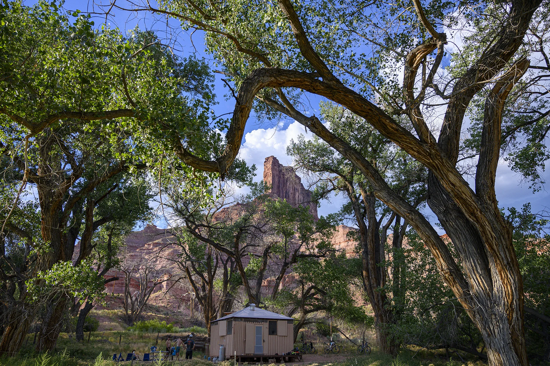 Gateway Hut among Cottonwoods