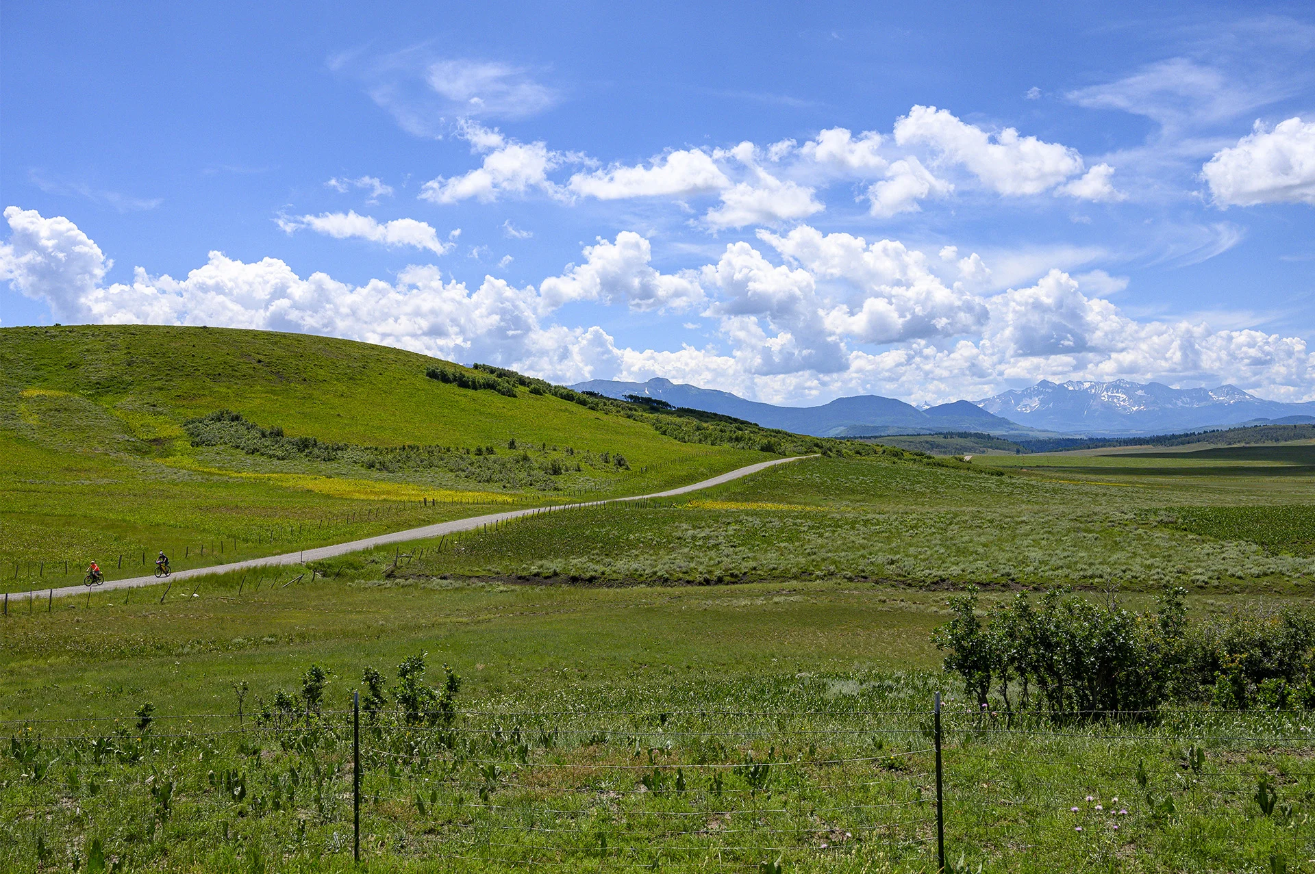 Range Land