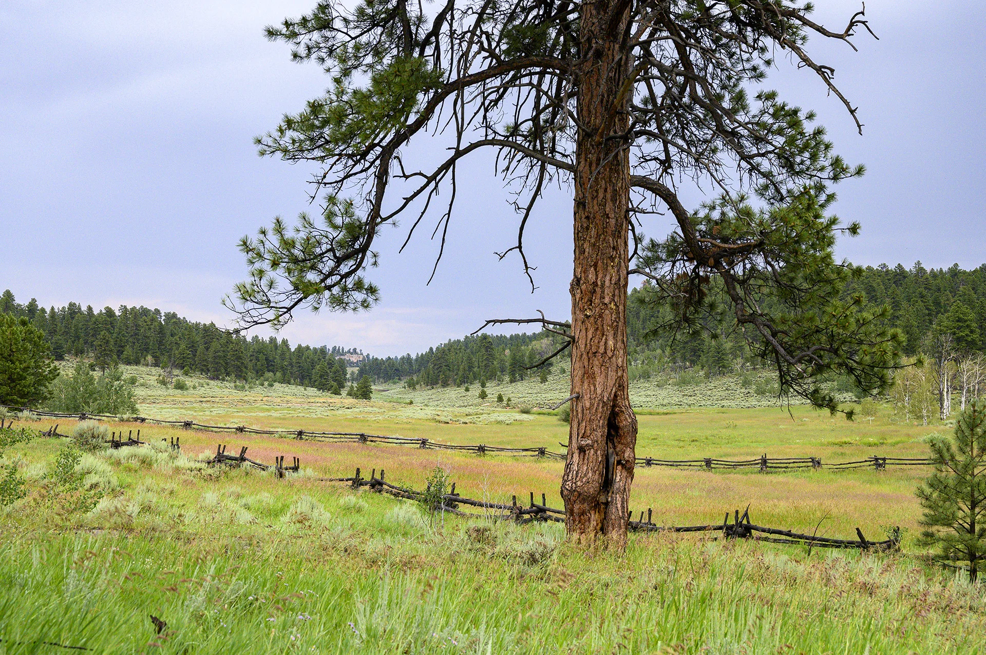 Graham Ranch Valley
