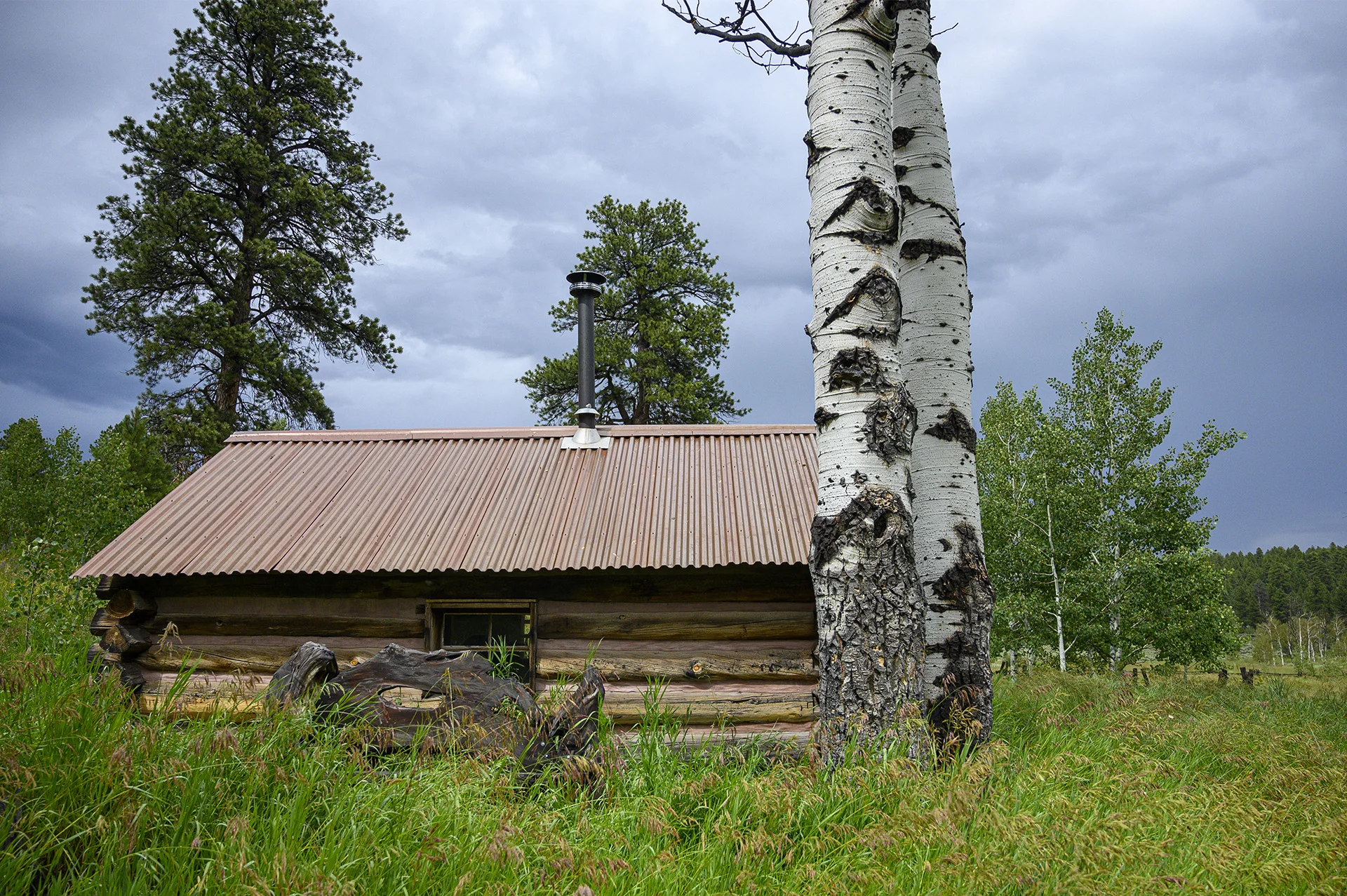 Ye Olde Hut
