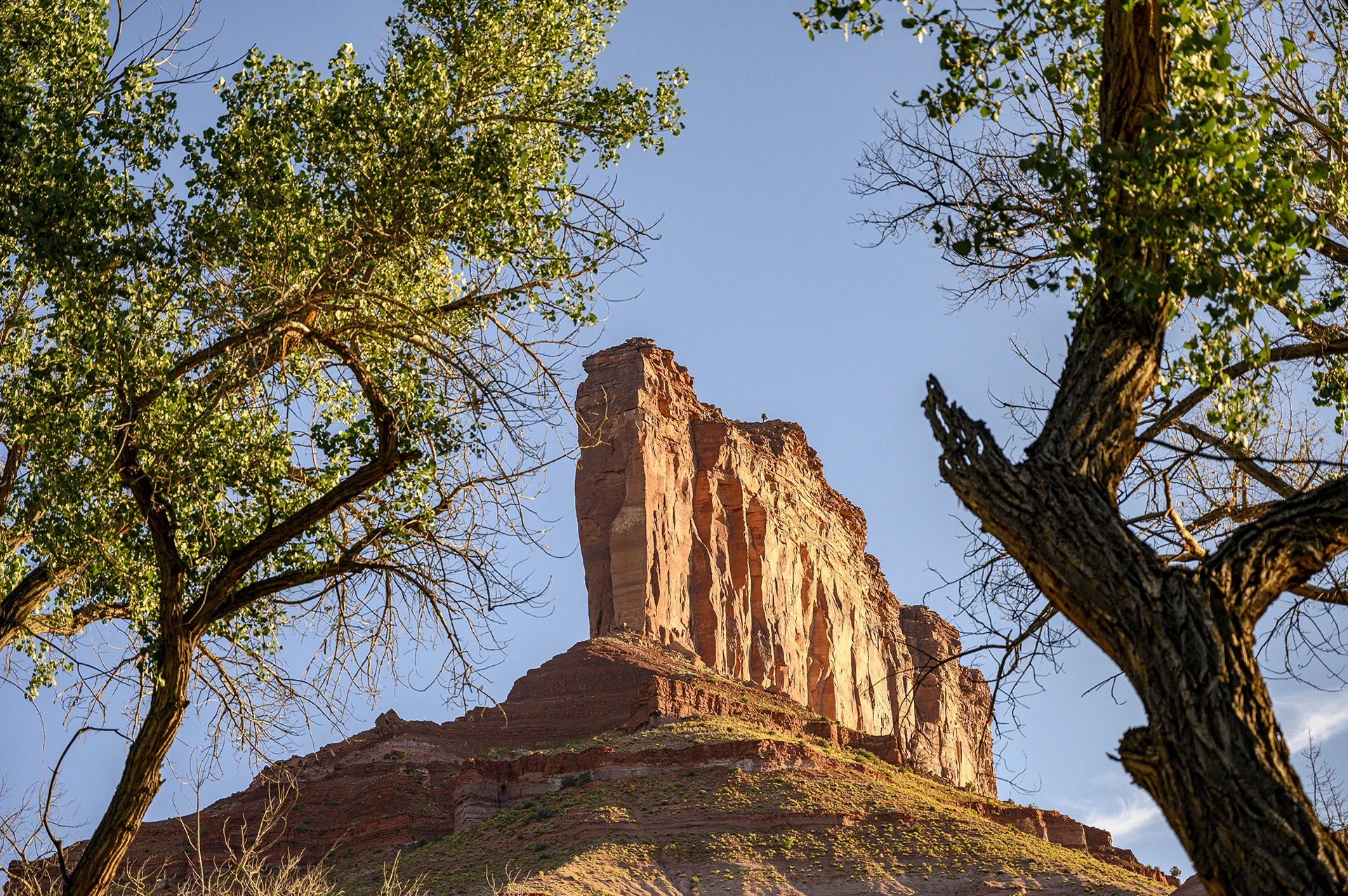 Palisade Butte
