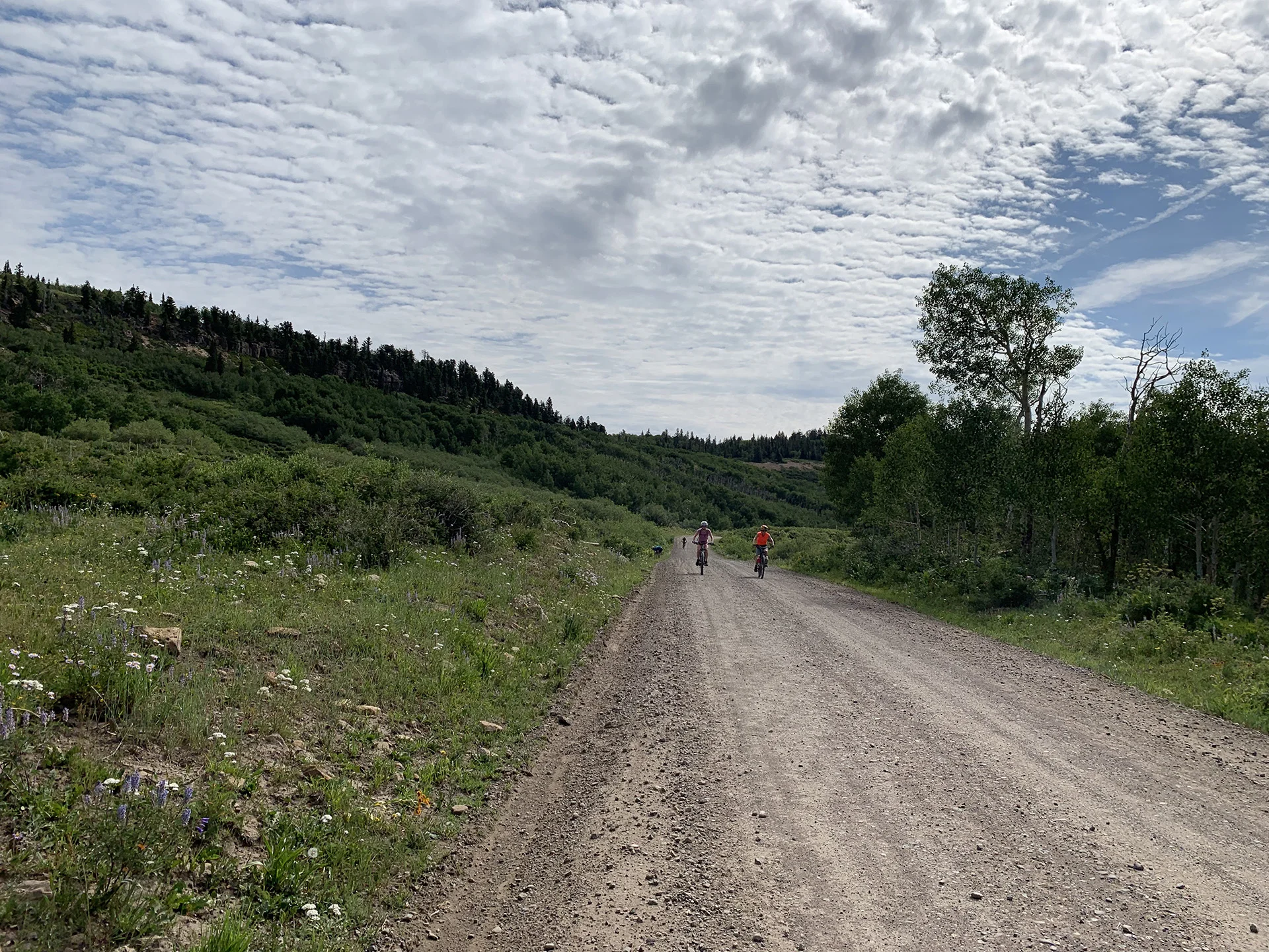 Heading to Graham Ranch