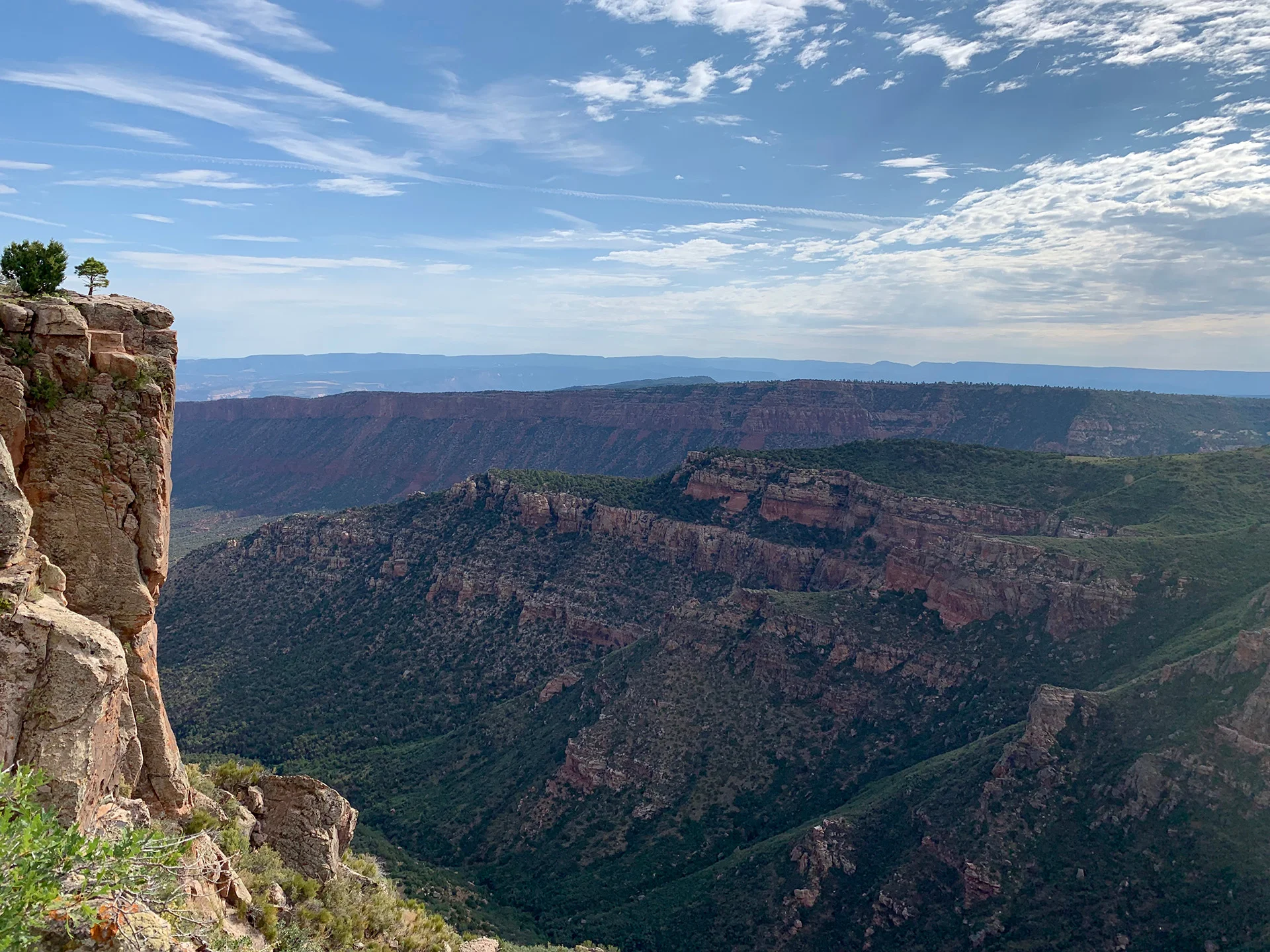 View from Dinosaur Track Plateau