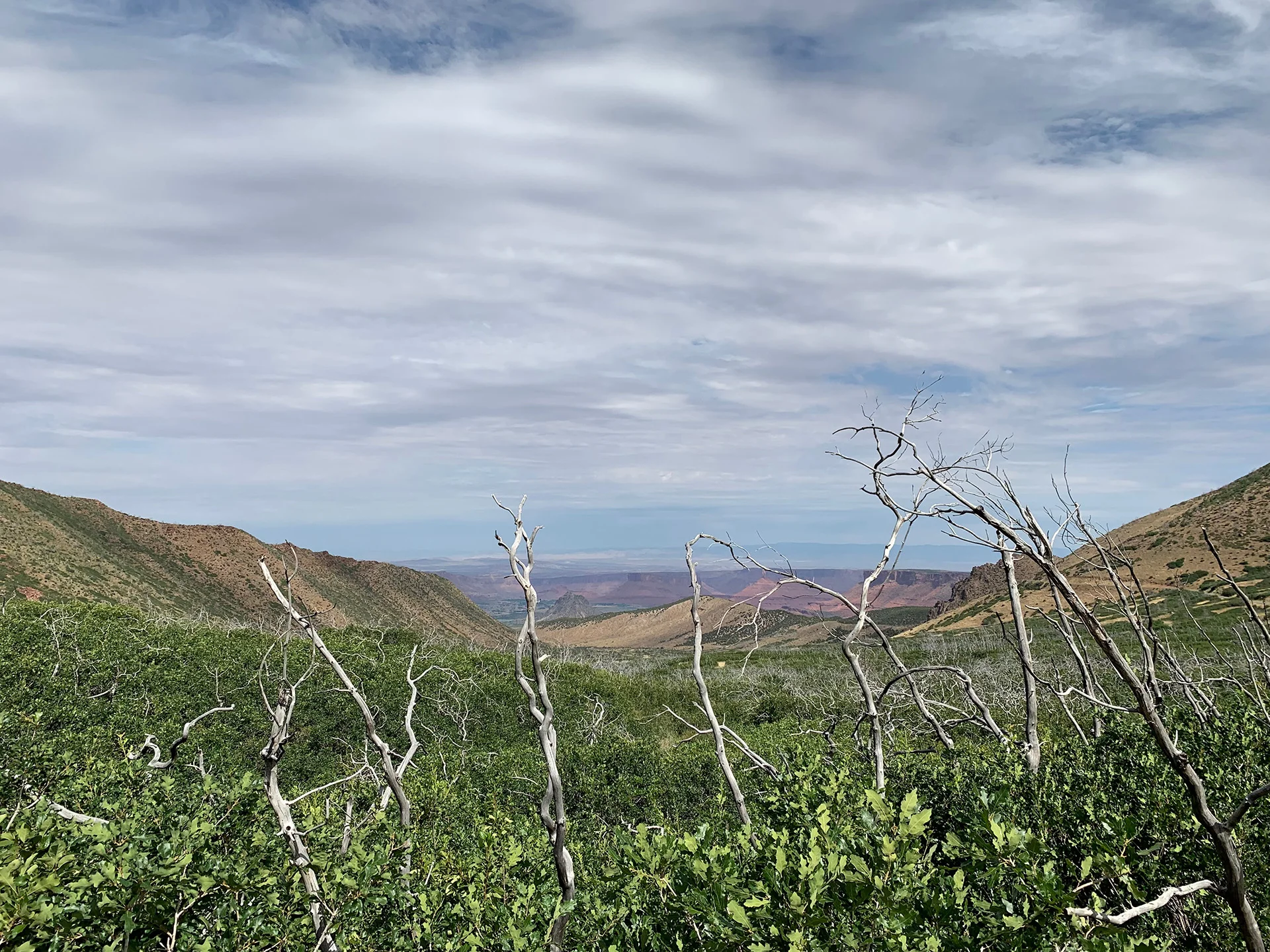 View During a Geico Commercial Break