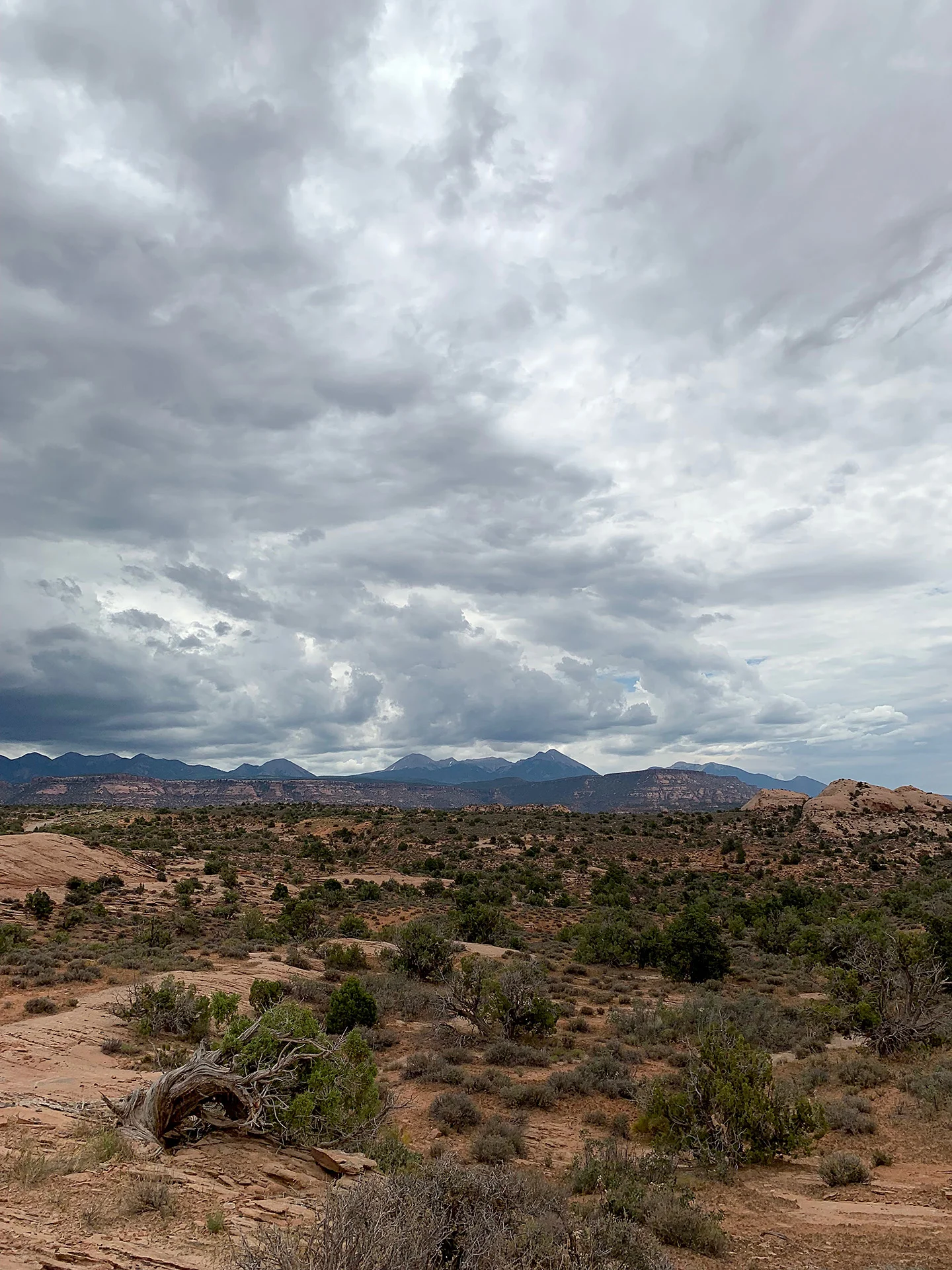 Sand Flats