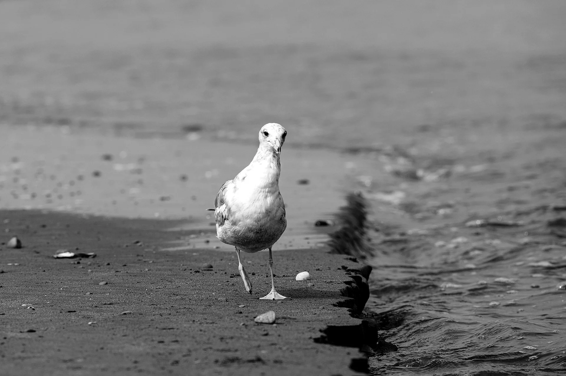 Out for a stroll