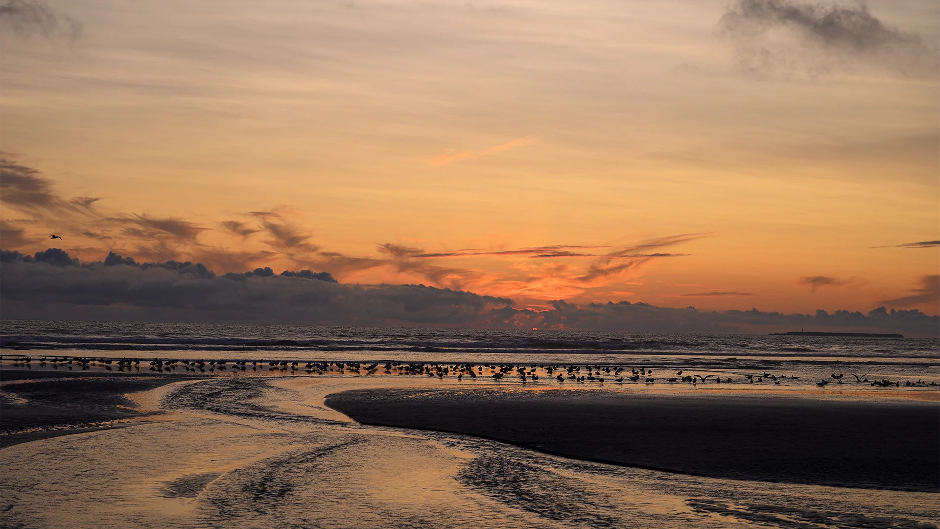 Sunset &amp; Gulls