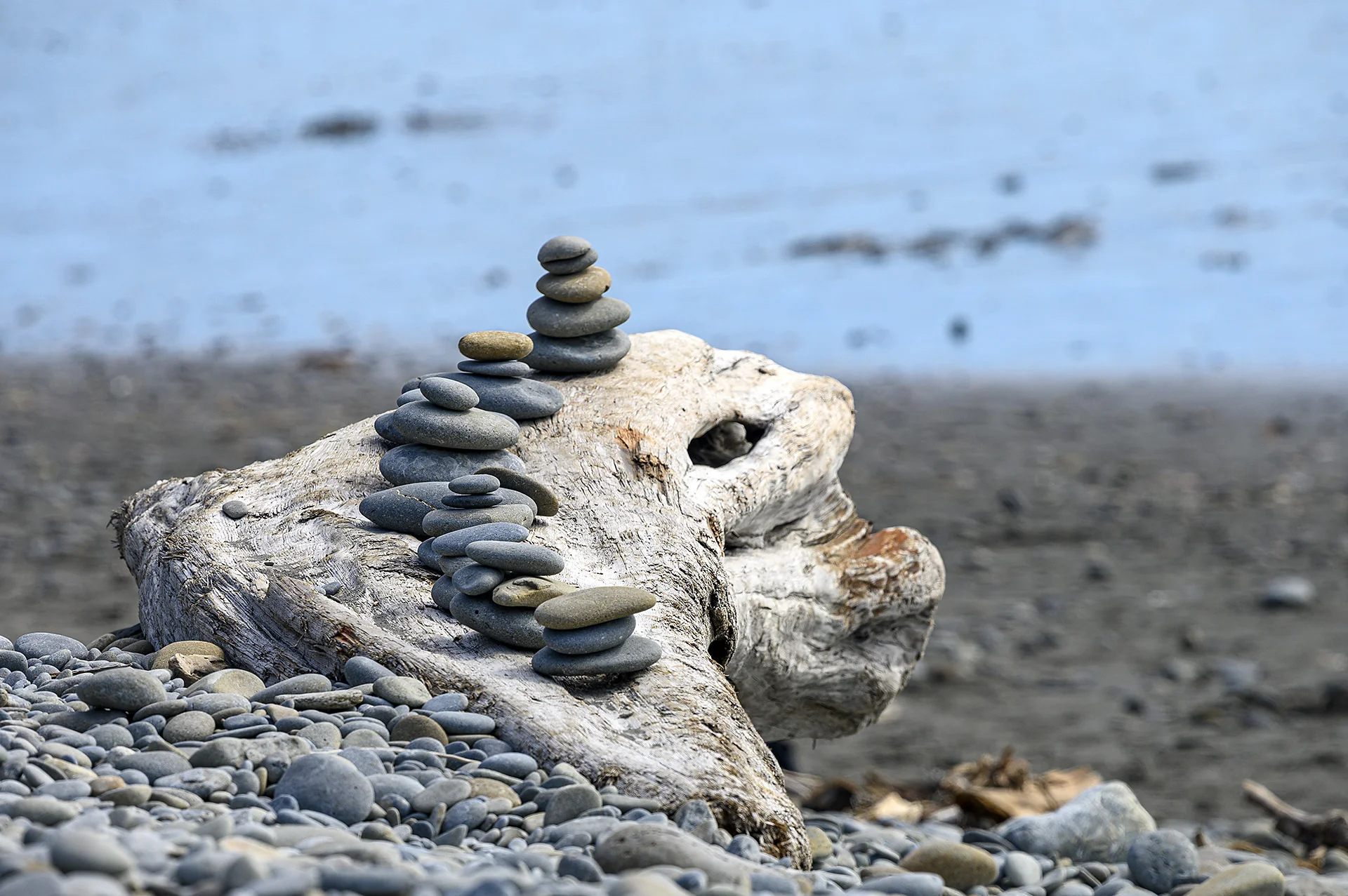 Creature From Ruby Beach