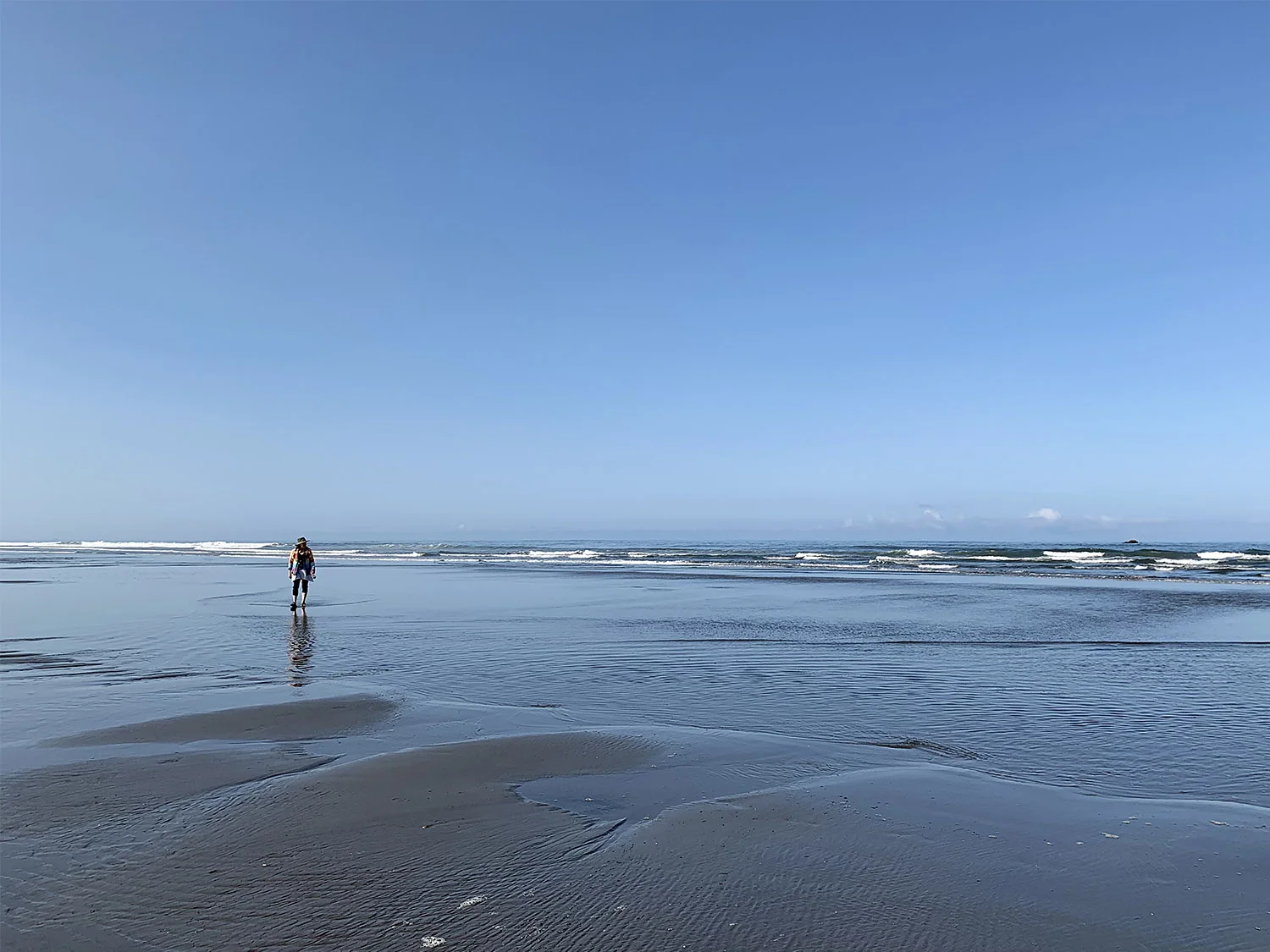 Pat Hunting for Sand Dollars