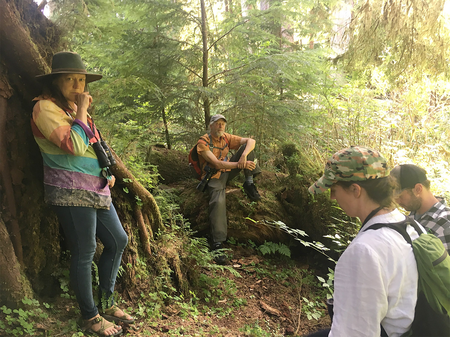 In Awe of the Big Douglas fir