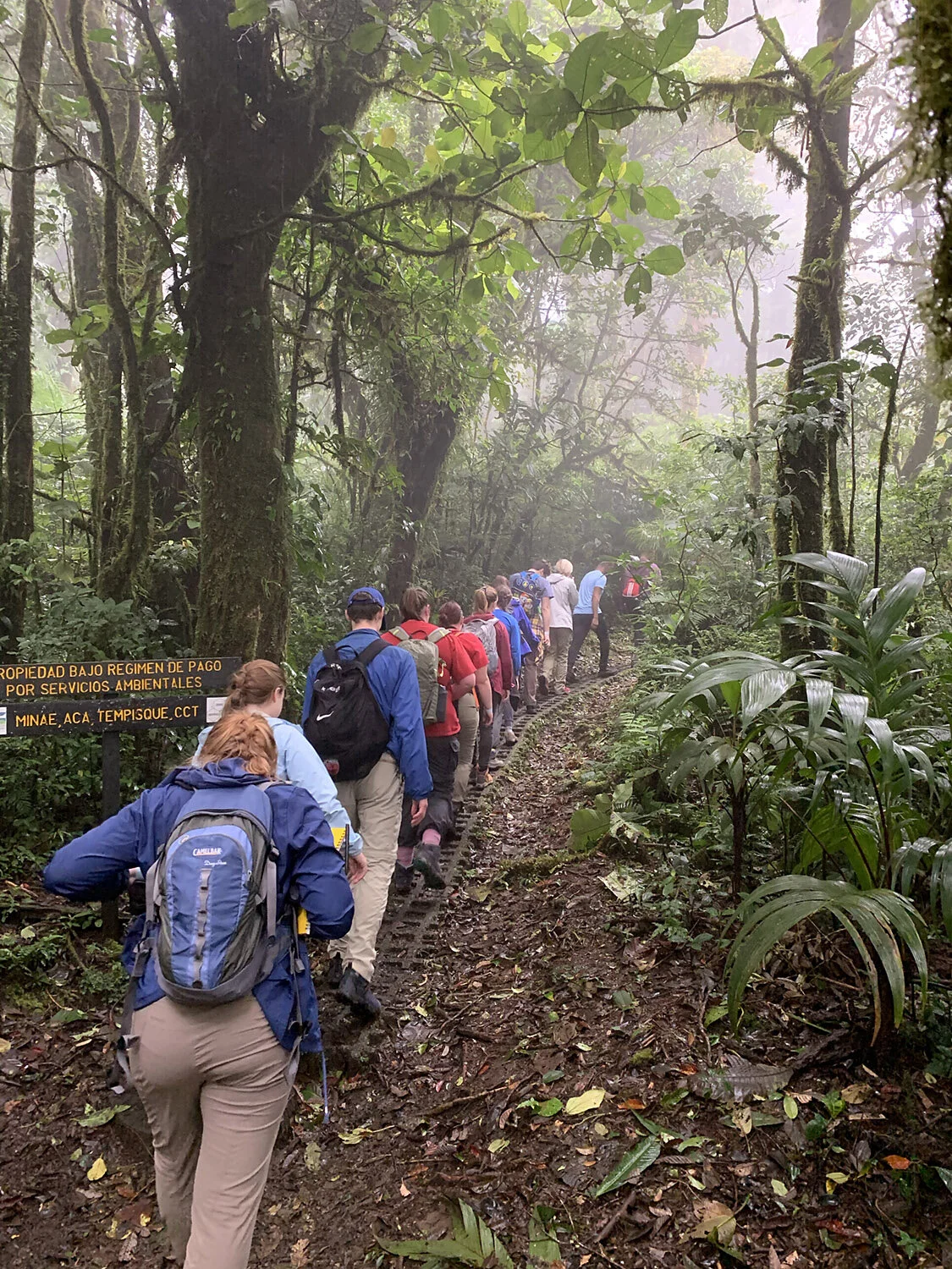 Hiking to the clouds