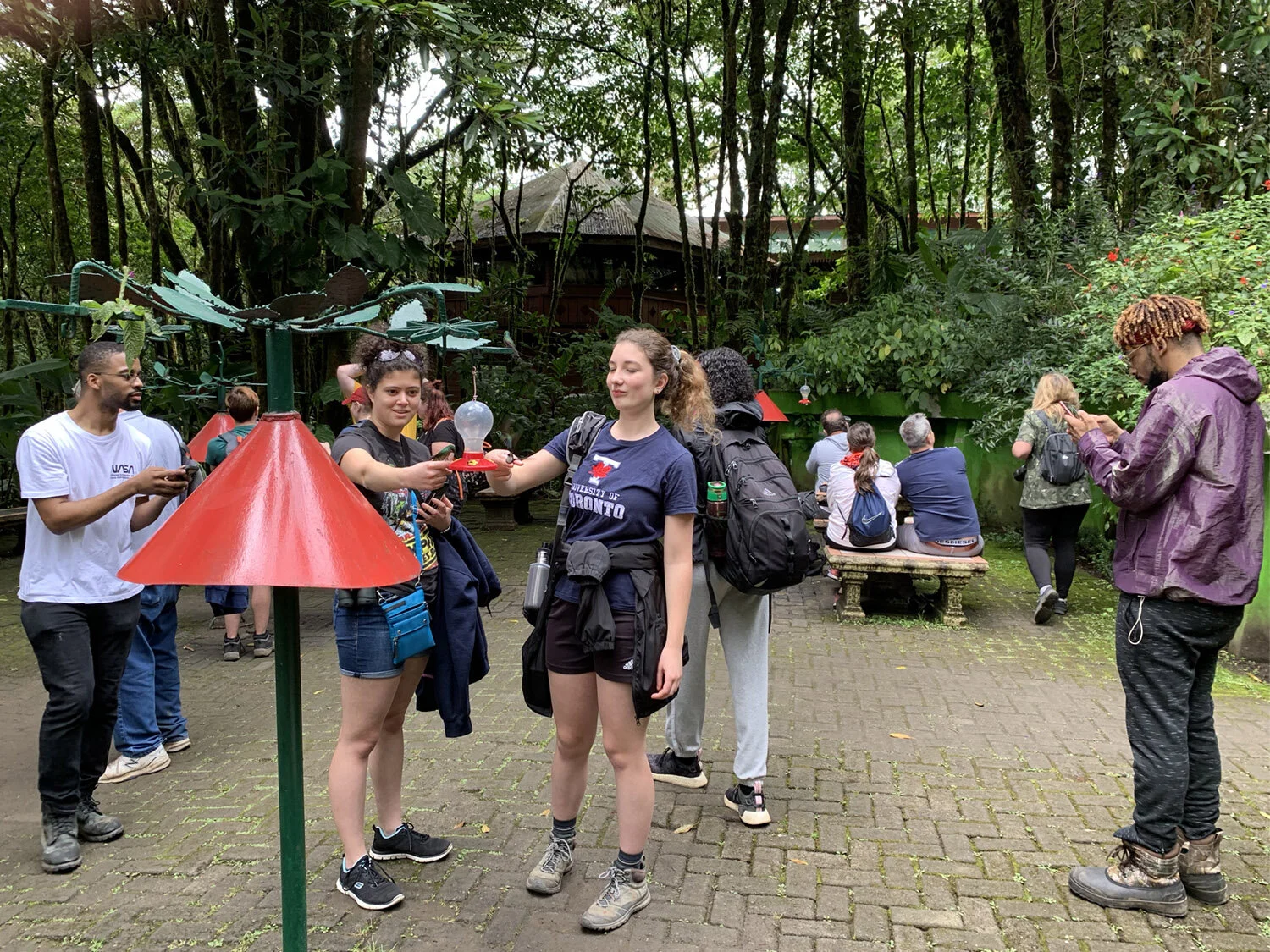 Hummingbird Whisperers