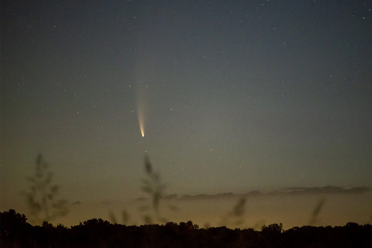 Comet Neowise at dawn