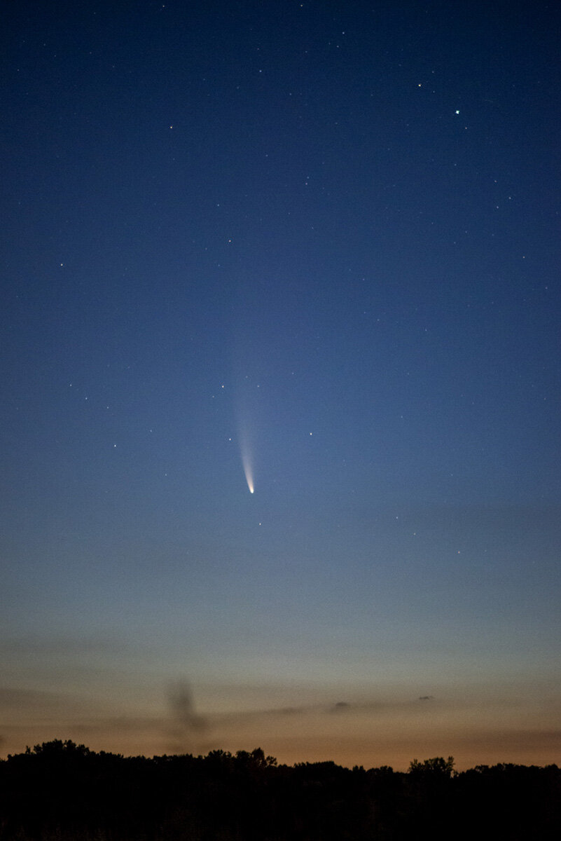Comet NEOWISE at dawn