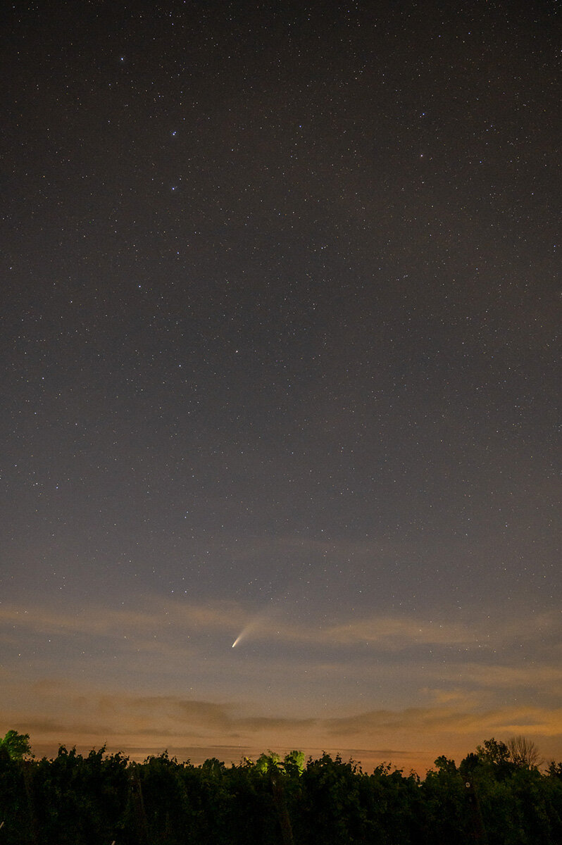 Comet NEOWISE in Twilight