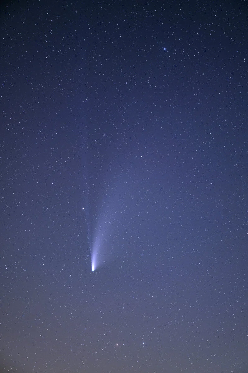 Comet NEOWISE in twilight