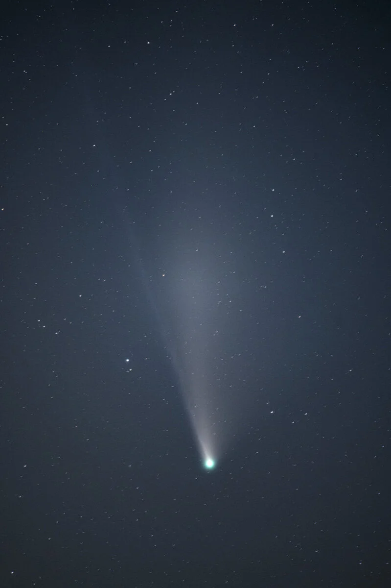 Comet NEOWISE over Yellowwood Forest