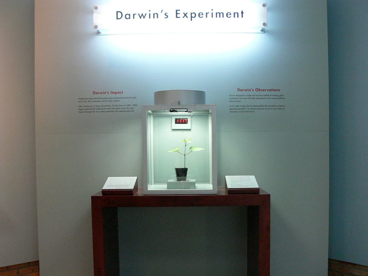 Darwin's Experiment