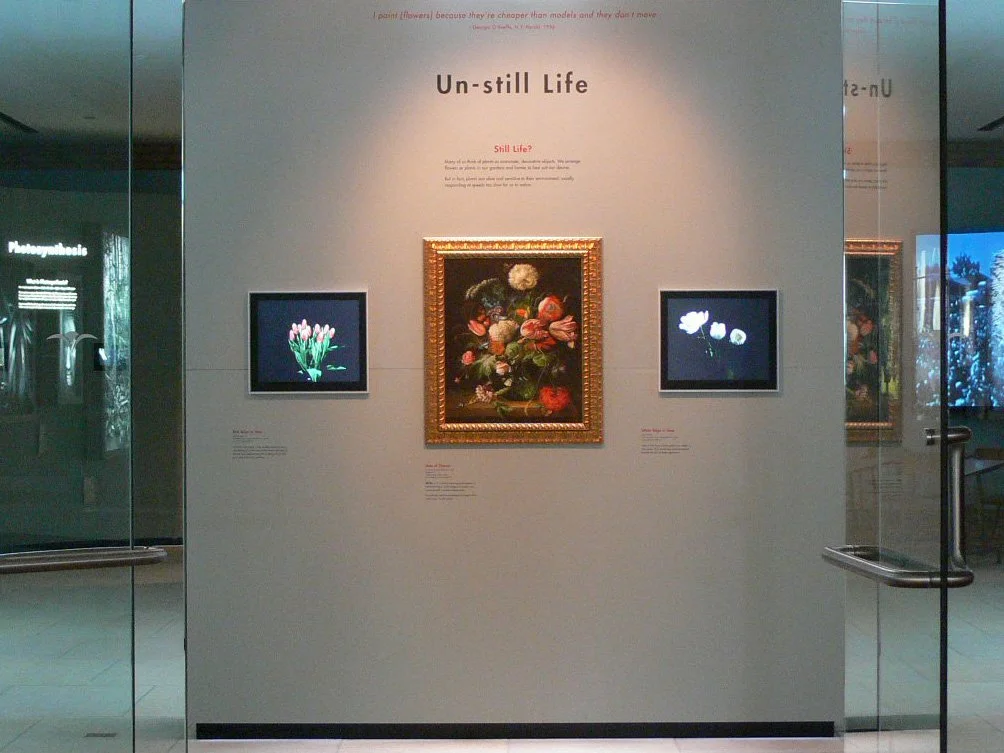Un-still Life