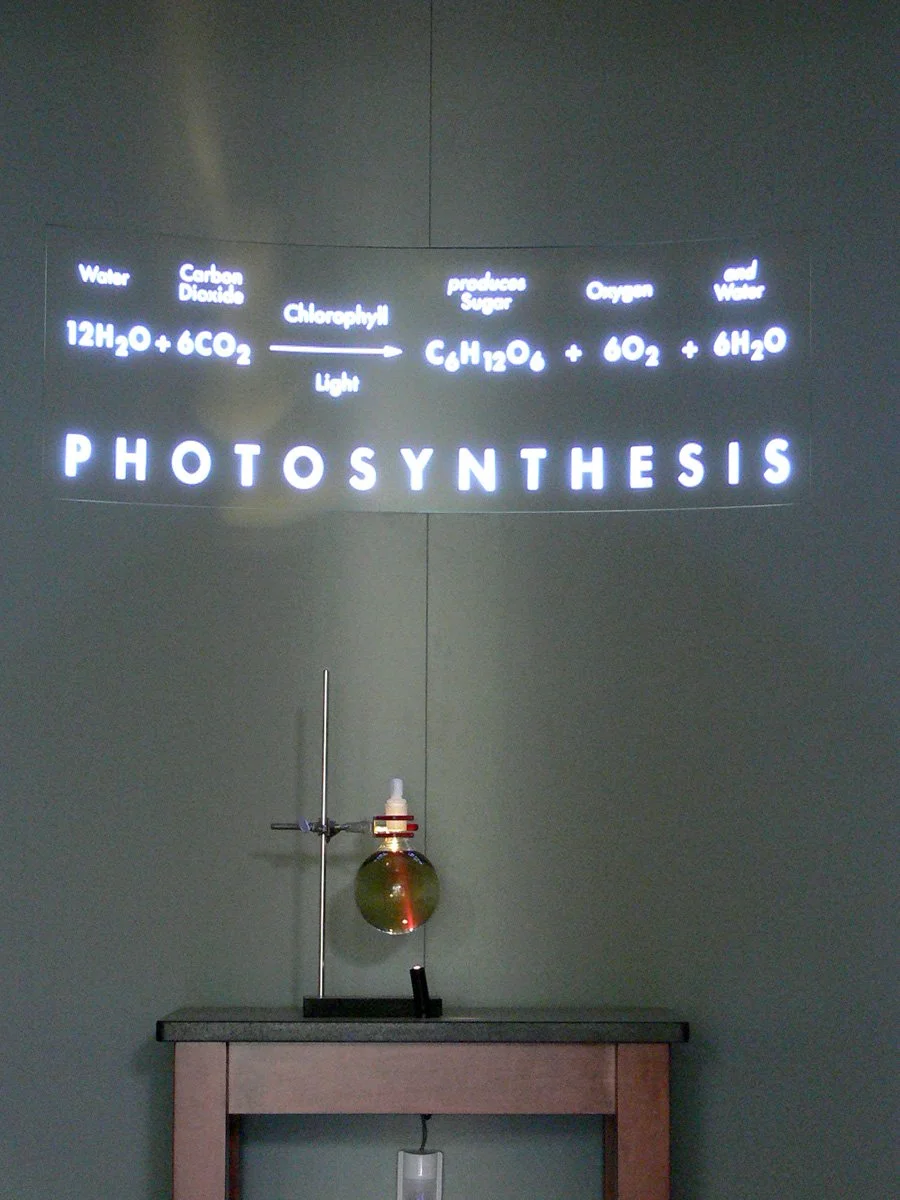 Photosynthesis