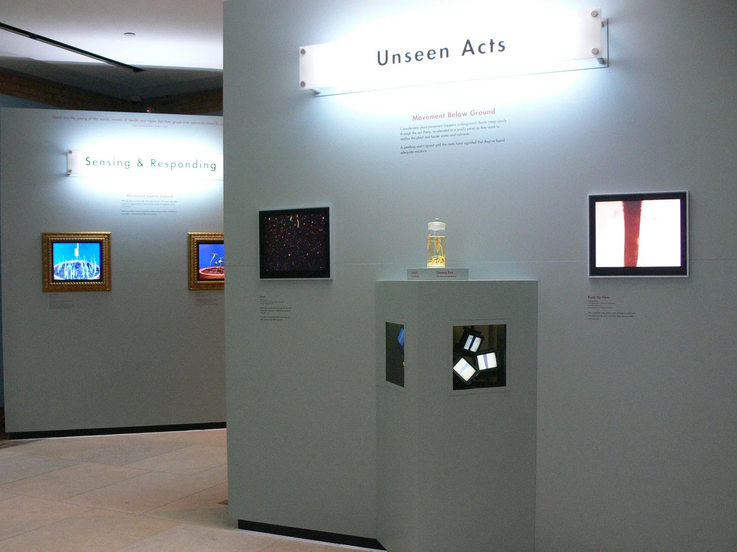 Unseen Acts