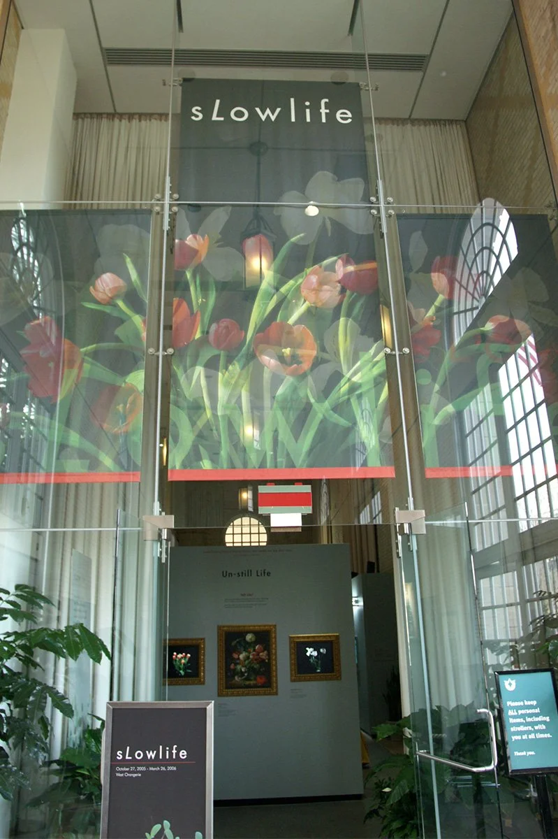 Entry to sLowlife installation in the United States Botanic Garden (2005).