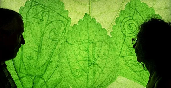 Giving Karl the Curly Eye (Ode to Karl Blossfeldt )