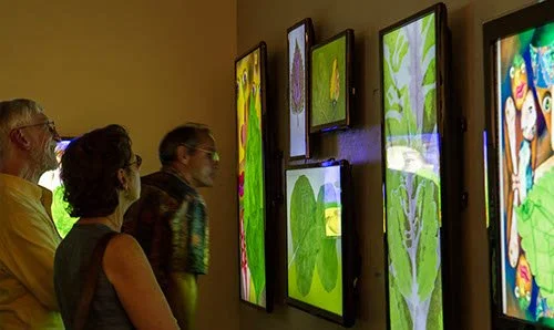Gallery wall