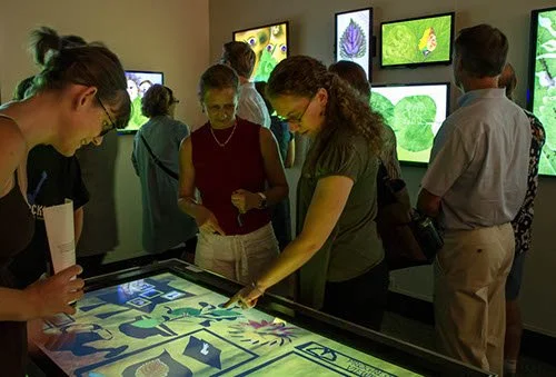 Interactive demonstrations