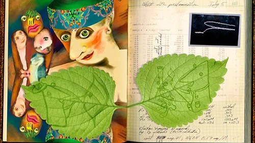 Pressing Leaves (of Art and Science)