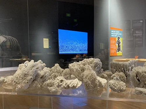 Indiana State Museum