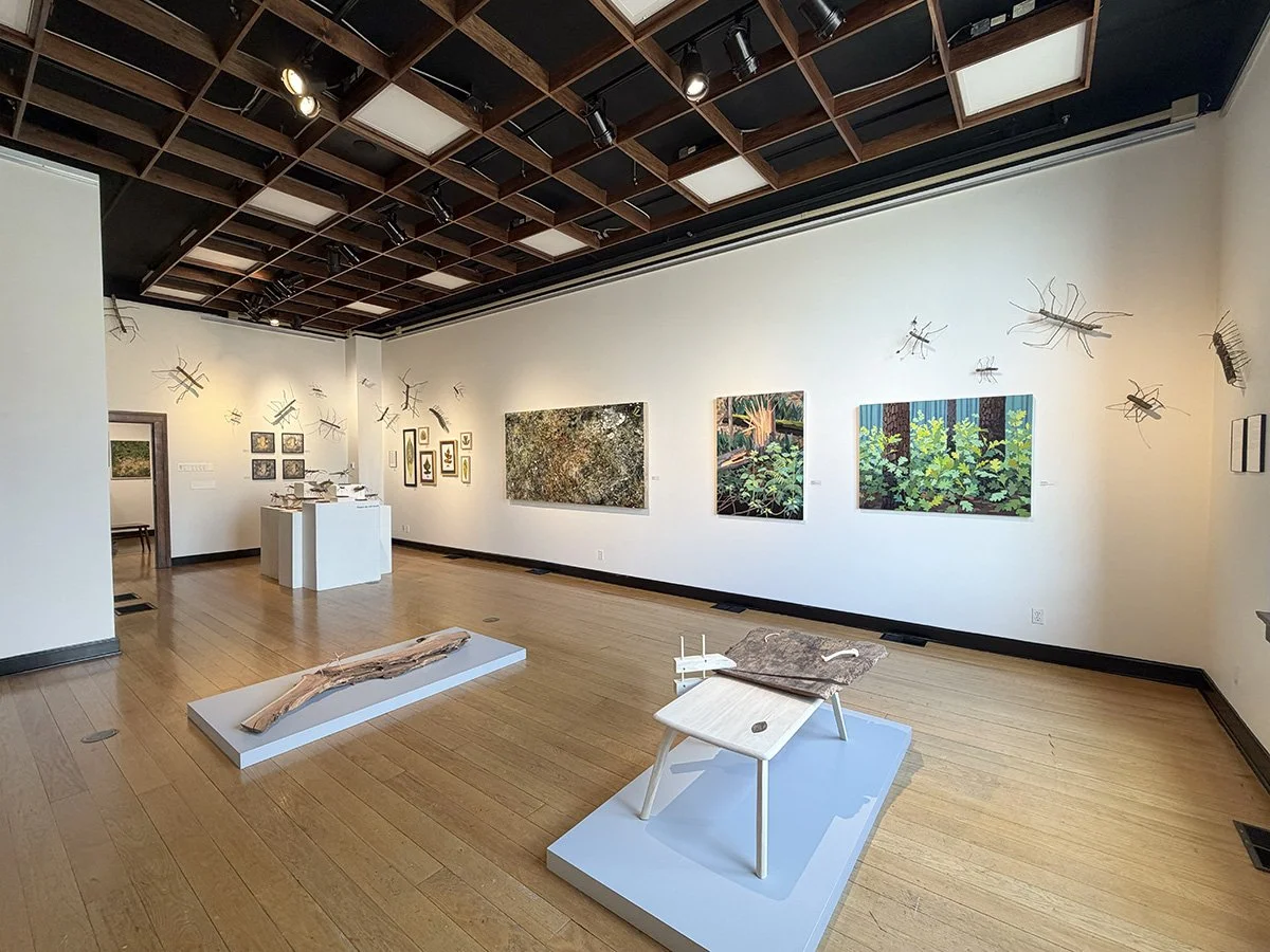 Gallery View