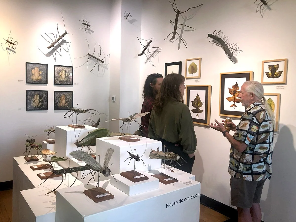 Leaf Photogram Discussion