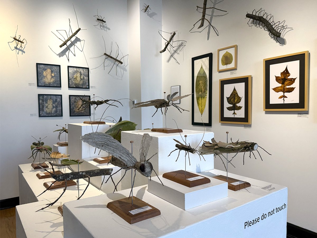 Fantastical Insects, Toads, Leaf Photograms