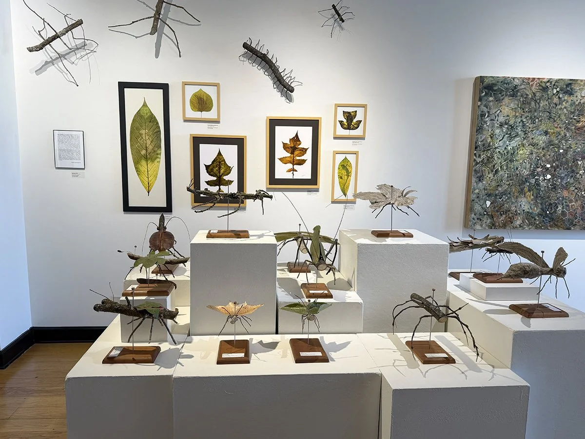 Fantastical Insects and Leaf Photograms