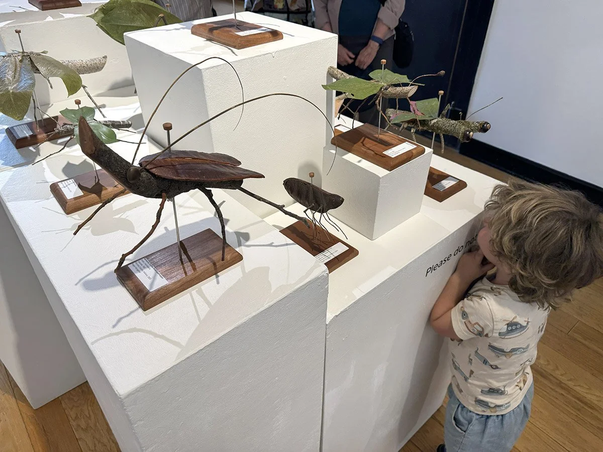 Close Encounter with Fantastical Bugs