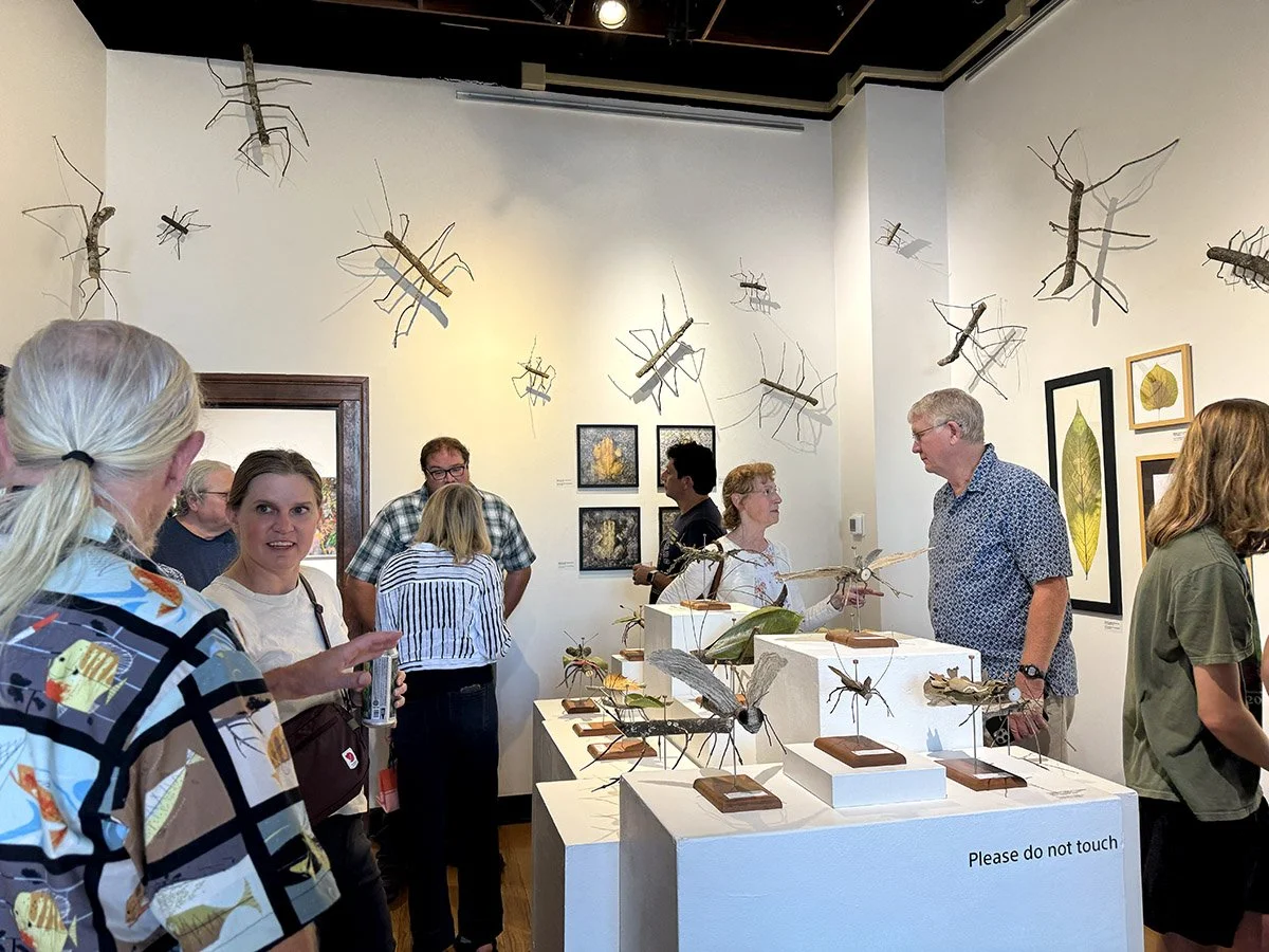 Opening Reception