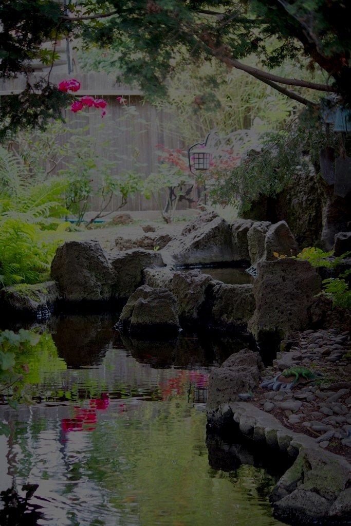 Starlite-Backyard%2Bview.jpg